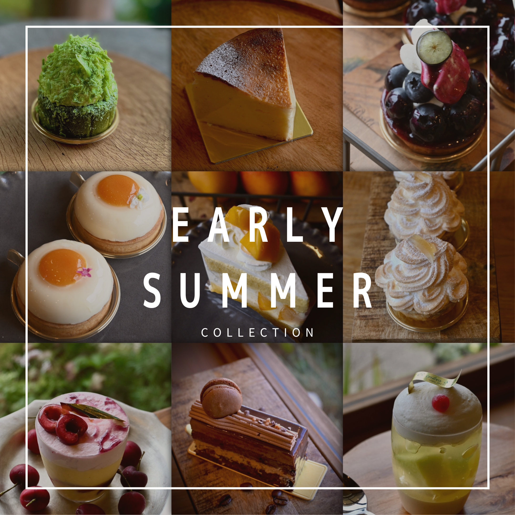 early Summer collection2025|[公式]安城市のカフェ＆ケーキ アンドケイクスパッチ